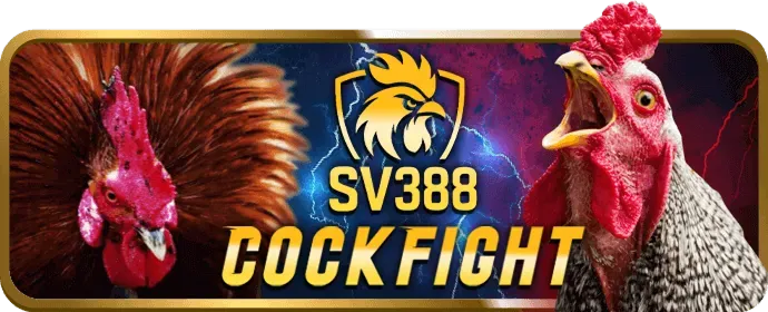 Sân bóng rổ với bóng và lưới, có logo 88club login